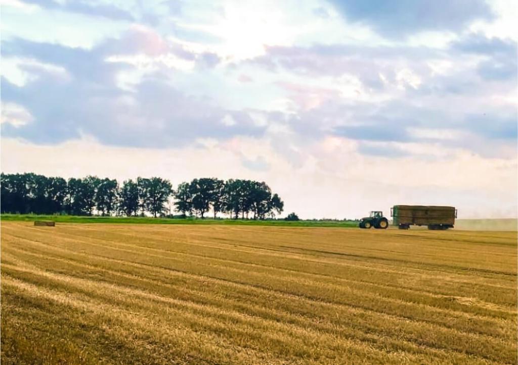 Traktor mit Anhänger auf einem weitläufigen Feld vor einer Baumreihe.